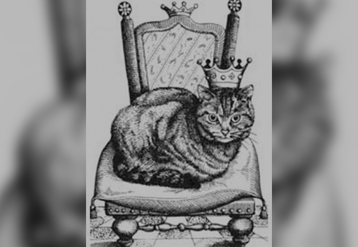 El Rey de los Gatos